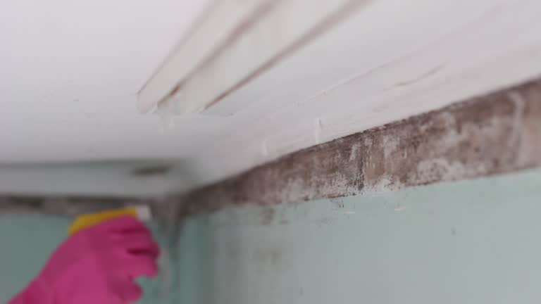 Best Air Quality Testing for Mold Spores  in Queen Creek, AZ